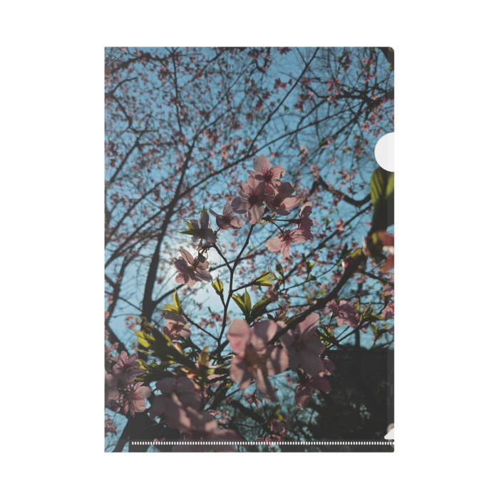 クリアファイル - A4