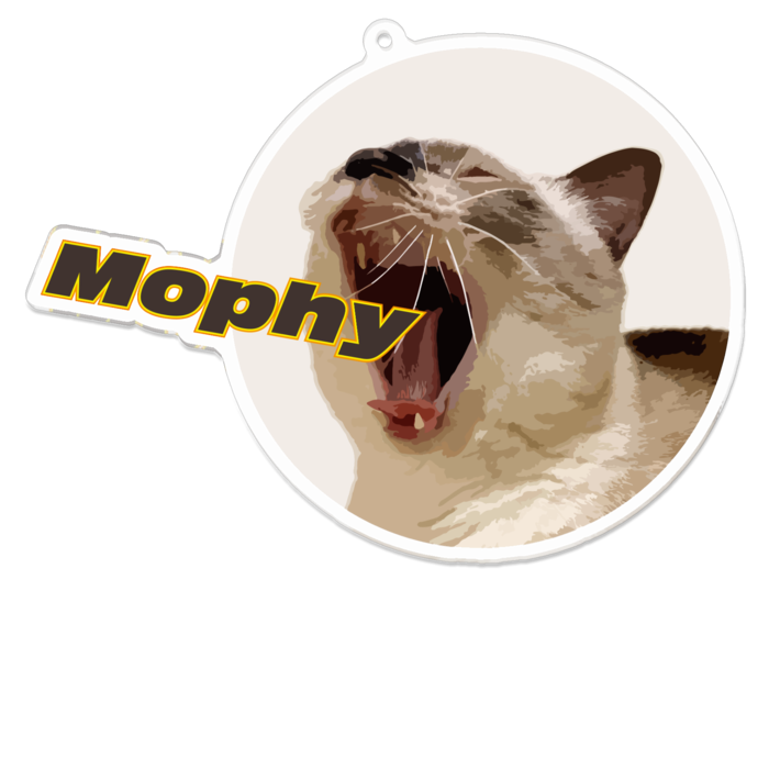 ﾈｺﾁｬﾝあくびアクリルキーホルダー - 100 x 100 (mm)