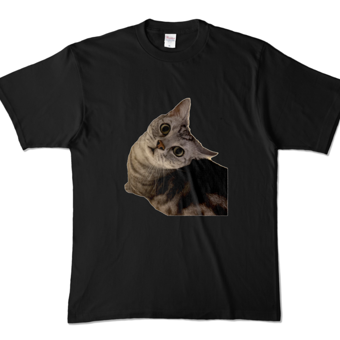 カラーTシャツ - XL - ブラック (濃色)