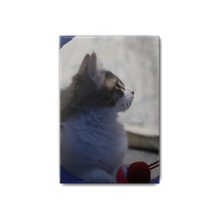 缶バッジ - 54x80mm