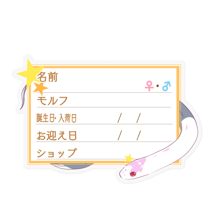 【🐍お名前ステッカー】カリキン(アルビノハイホワイト) ‐星