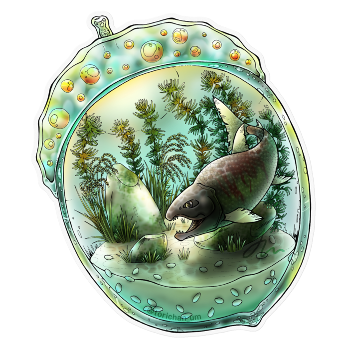 クリア／160 x 160㍉