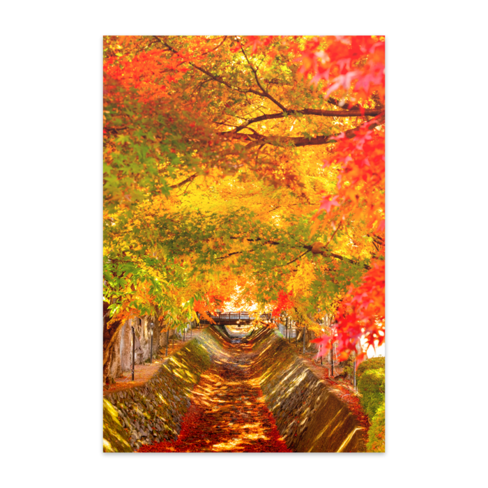 ポストカード(10枚セット) - マットコート220kg