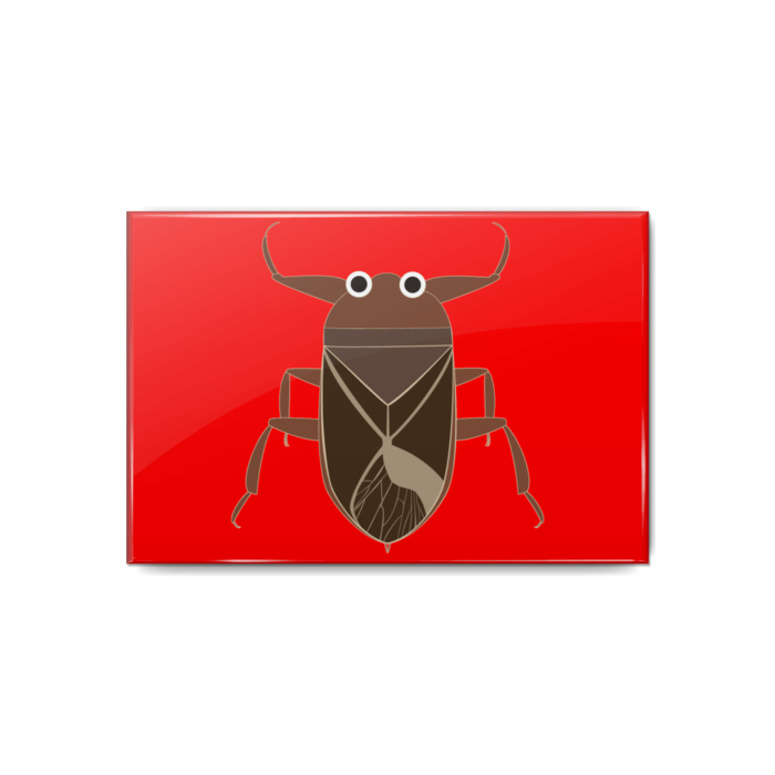 缶バッジ - 80x54mm