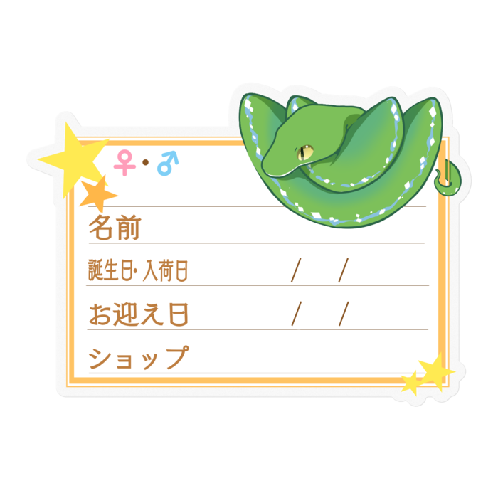 【🐍お名前ステッカー】枠11種類 グリンパイ(ソロン) ‐星
