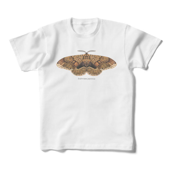 キッズTシャツ - 160cm (XS) - 正面