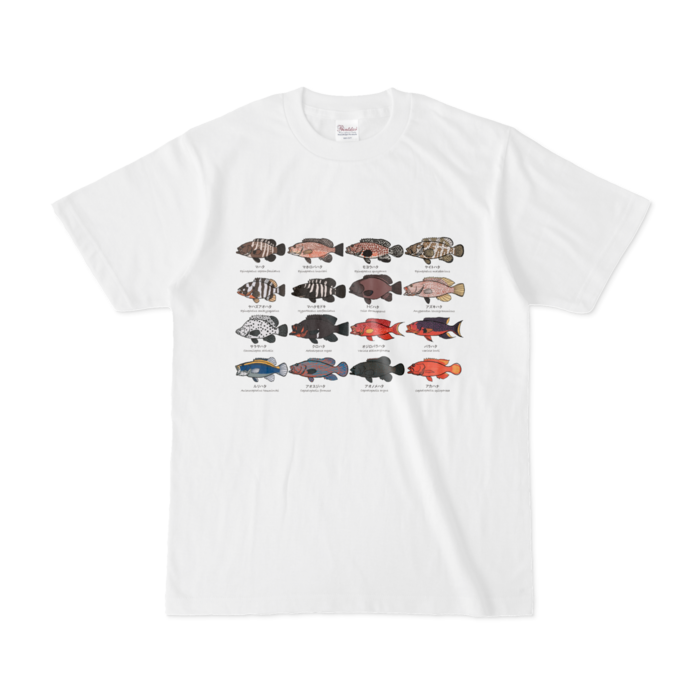 Tシャツ - S - 白