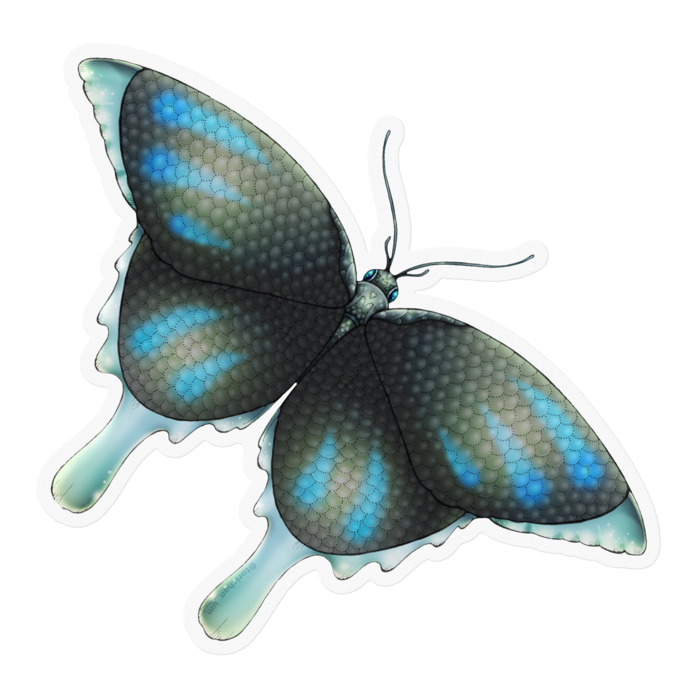 青　ー　クリア／100 x 100㍉