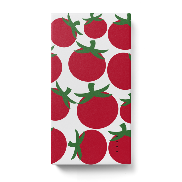 モバイルバッテリー - 123 x 65 (mm)