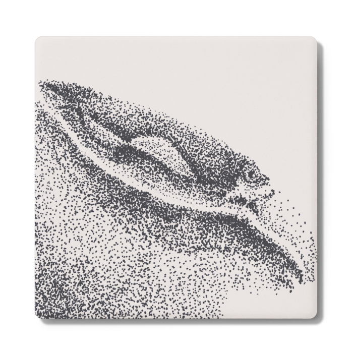 コースター - 角形