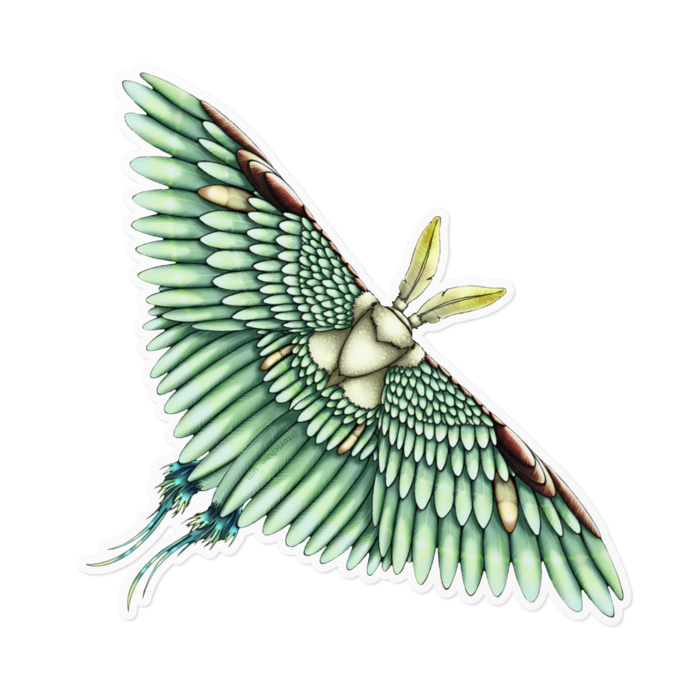 緑　ー　ホワイト／160 x 160㍉