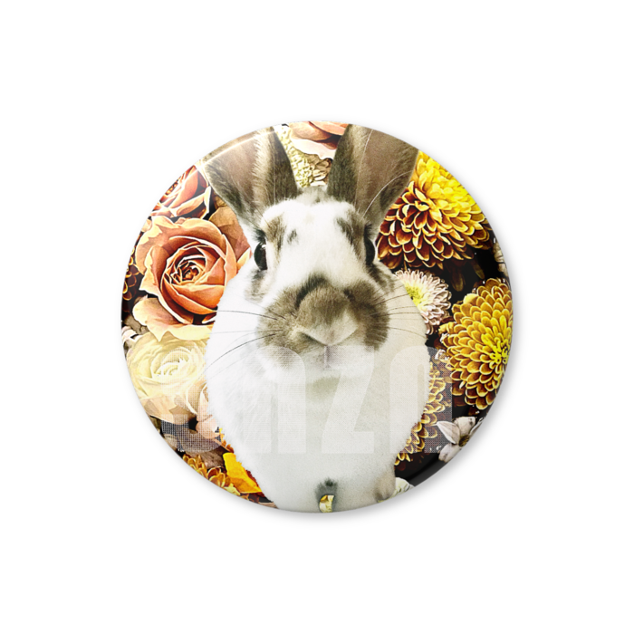 缶バッジ（バリュー） - 32mm