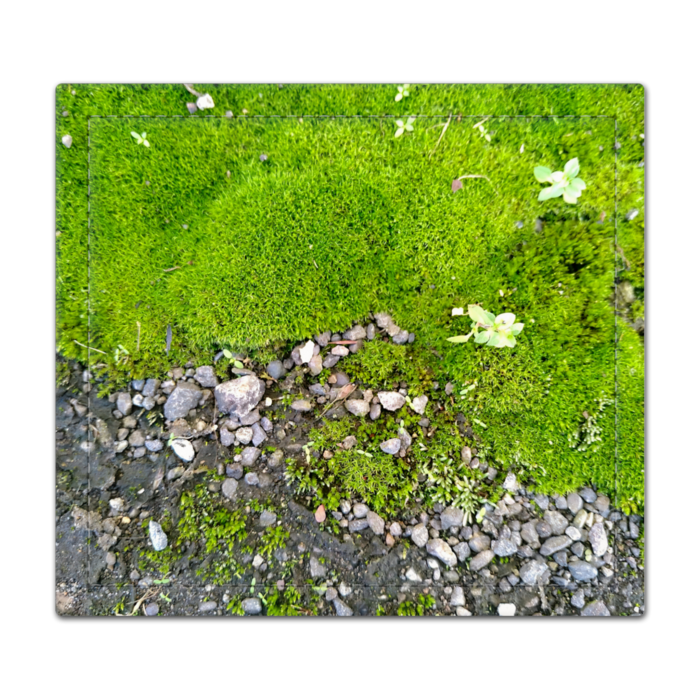 捺印マット - 105 x 95 (mm)