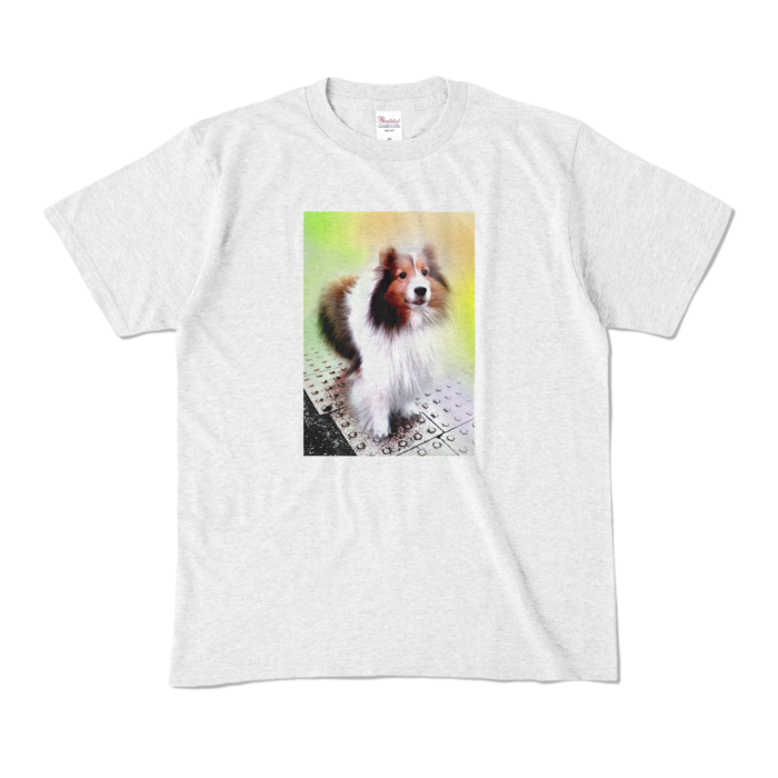 カラーTシャツ - M - アッシュ (淡色)