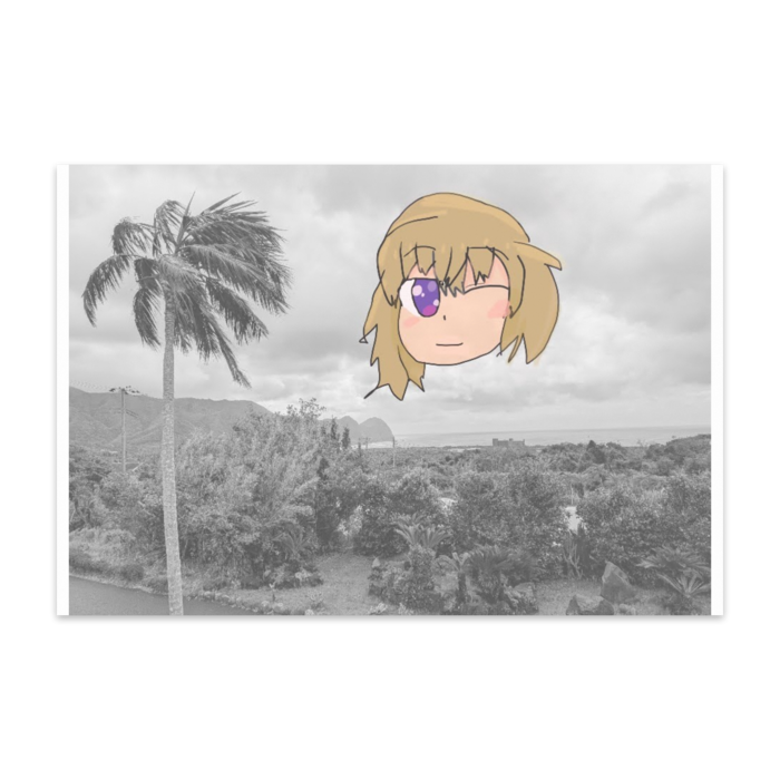 ポストカード(10枚セット) - ヴァンヌーボVGスノーホワイト195kg