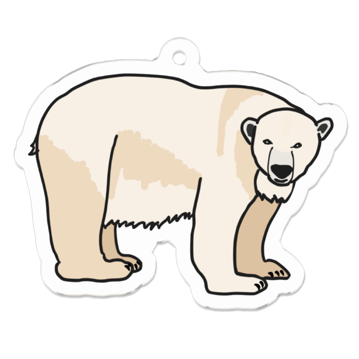 ほっきょくぐま