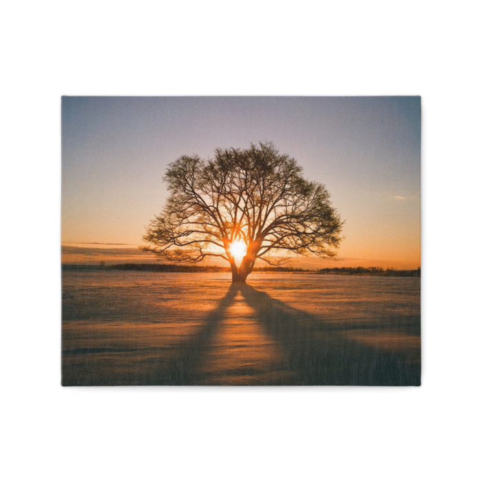 キャンバス - F3