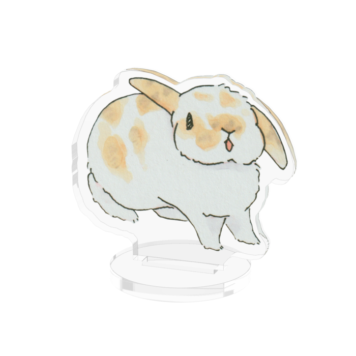 アクリルフィギュア - 50x50mm