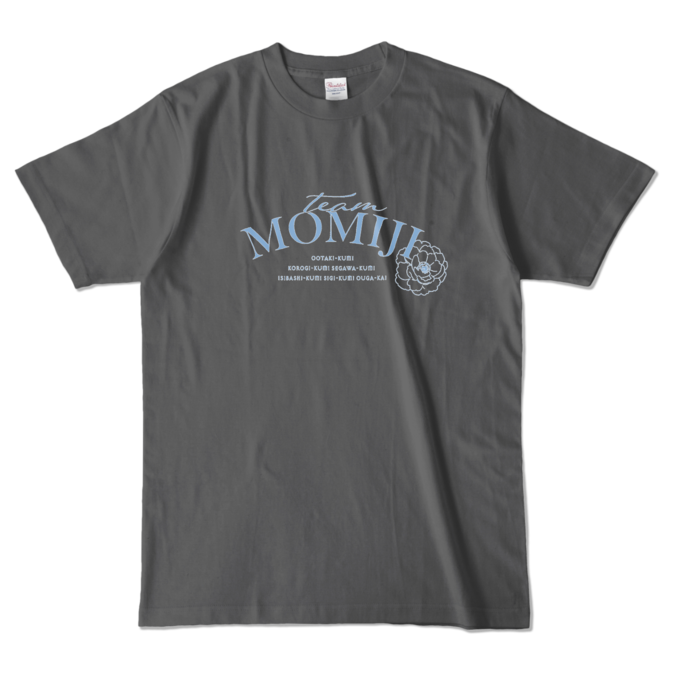 カラーTシャツ - L - チャコール (濃色)