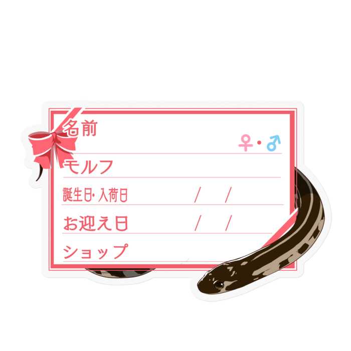ステッカー - 100 x 100 (mm)(10)