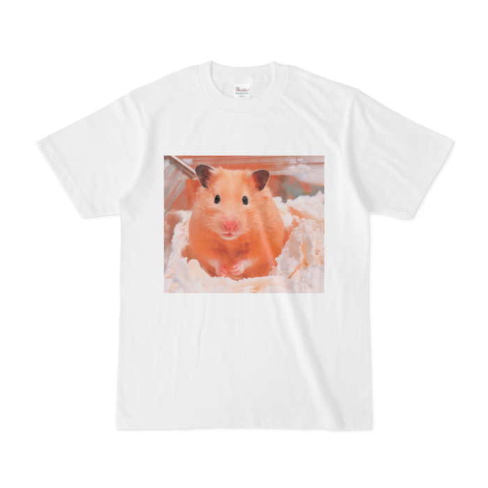 Tシャツ - S - 白