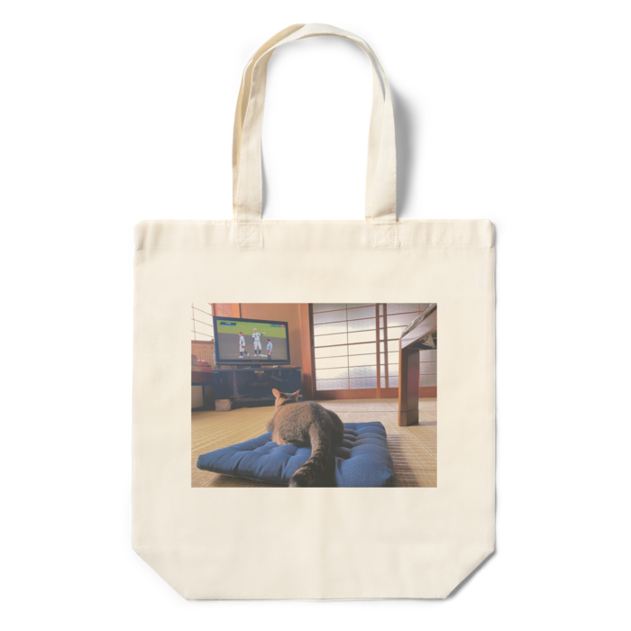 エコバッグ - 360×370×110(mm)