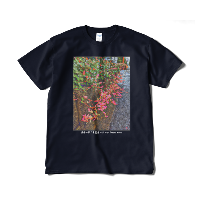 黄金の華 朱鷺茜 小判の木 Breynia nivosa Tシャツ - XL - ネイビー