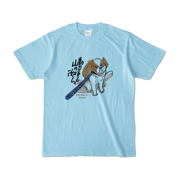 カラーTシャツ - S - ライトブルー (淡色)