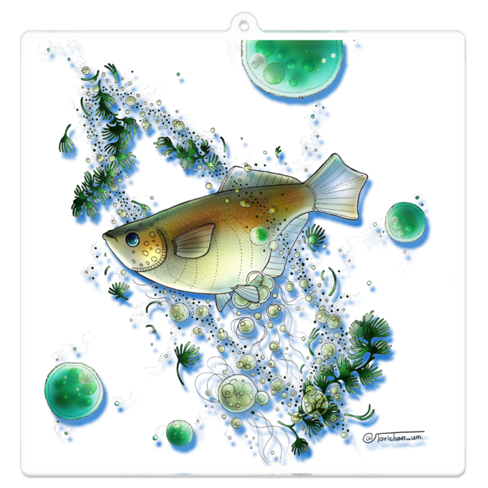 白　ー　100 x 100㍉／コーティングなし