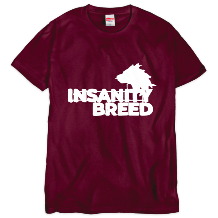 Tシャツ（シルクスクリーン印刷） - XL - 1色(1)