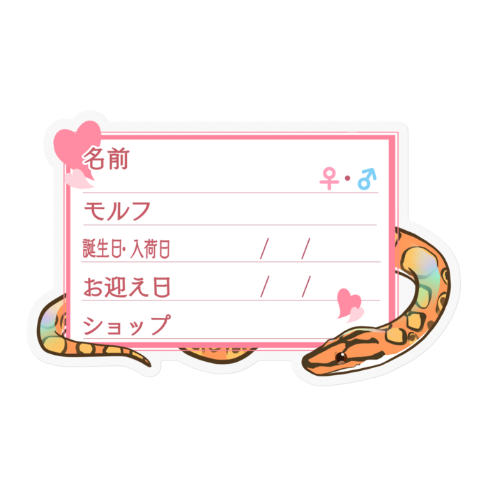 【🐍お名前ステッカー】ブラニジ(ノーマル) ‐ハート／ピンク