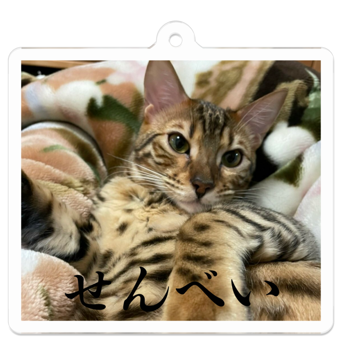 アクリルキーホルダー - 50 x 50 (mm)