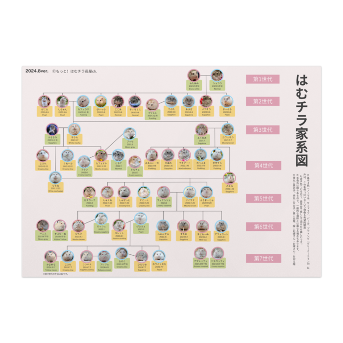 ポスター - A1