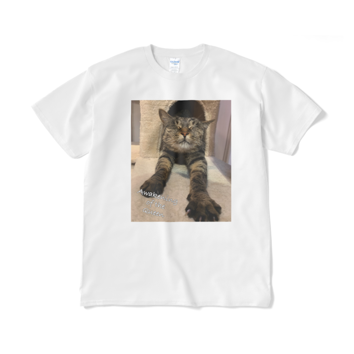 Tシャツ（短納期） - XL - ホワイト