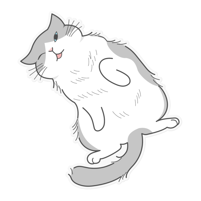 ステッカー - 160 x 160 (mm)クリア