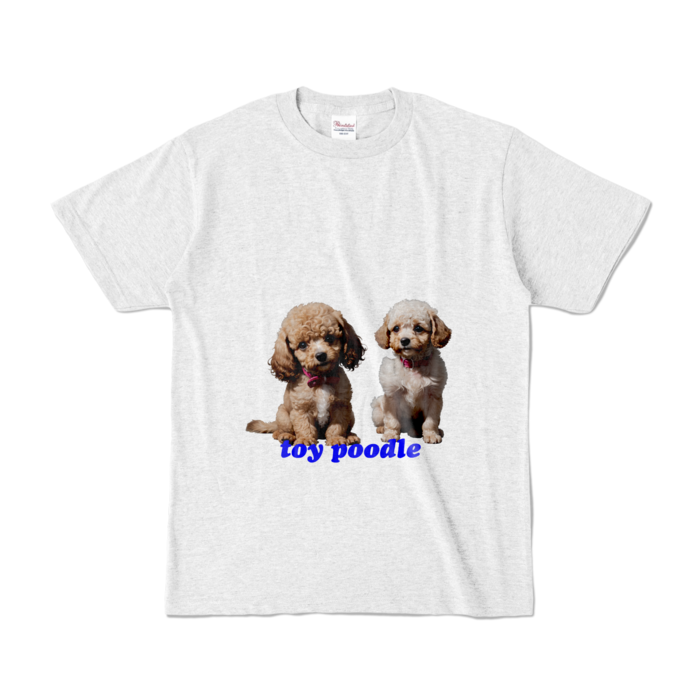 カラーTシャツ - S - アッシュ (淡色)