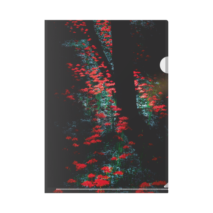 クリアファイル - A4(1)