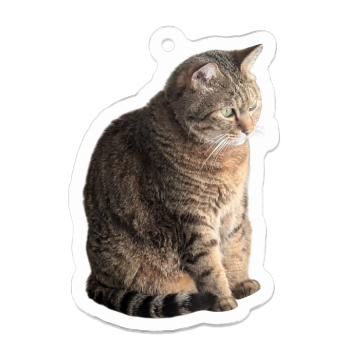 アクリルキーホルダー - 50 x 50 (mm)(1)