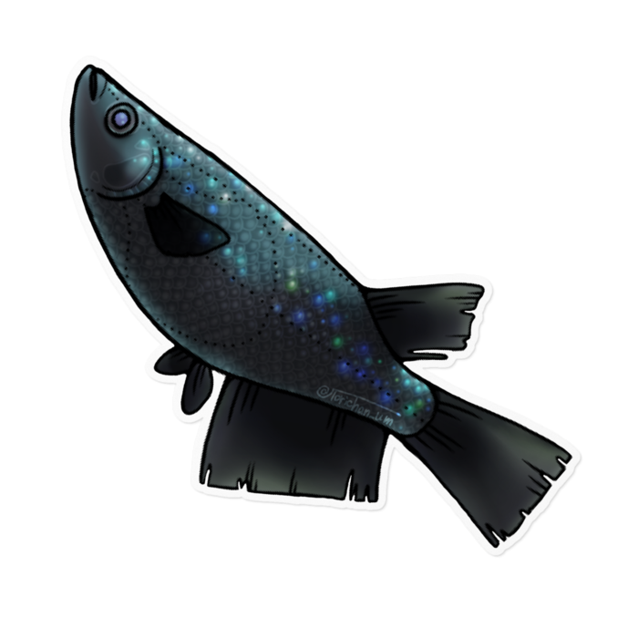 ブラックダイヤ　ー　ホワイト／160 x 160㍉