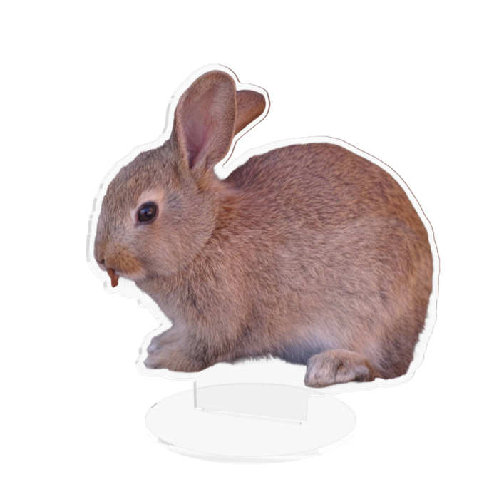 アクリルフィギュア - 160x160mm