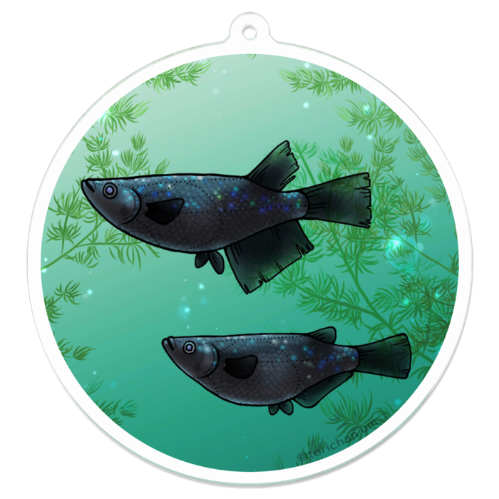 ブラックダイヤ　ー　70 x 70㍉／コーティングなし