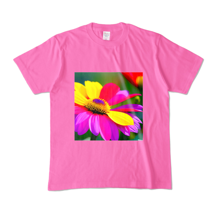 カラーTシャツ - M - ピンク (濃色)