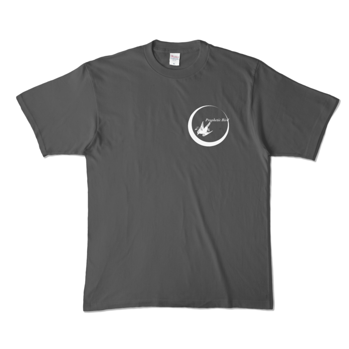 カラーTシャツ - XL - チャコール (濃色)