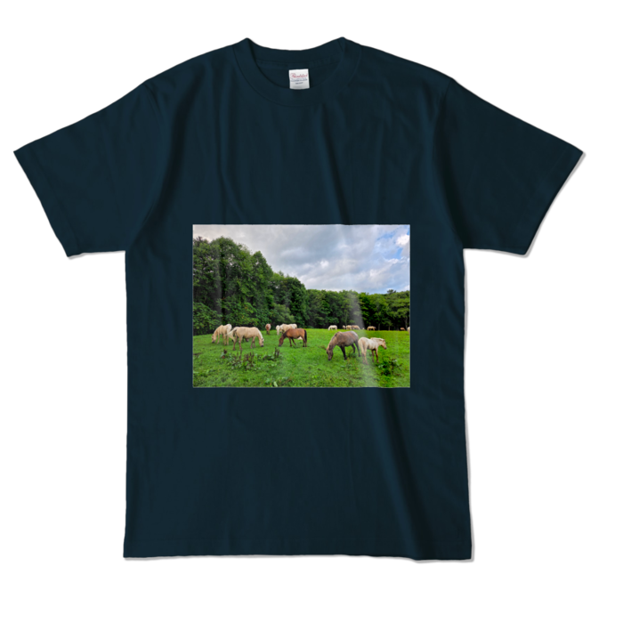 カラーTシャツ - L - ネイビー (濃色)