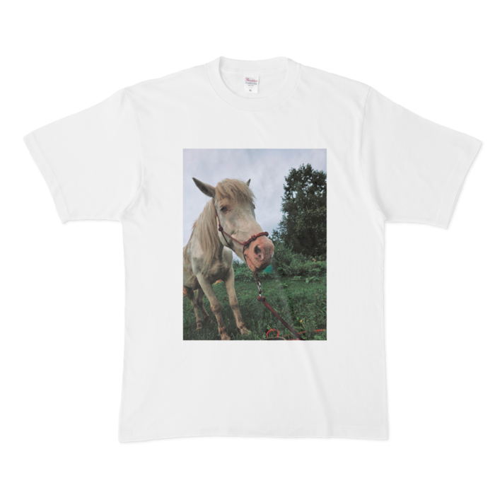 Tシャツ - XL - 白