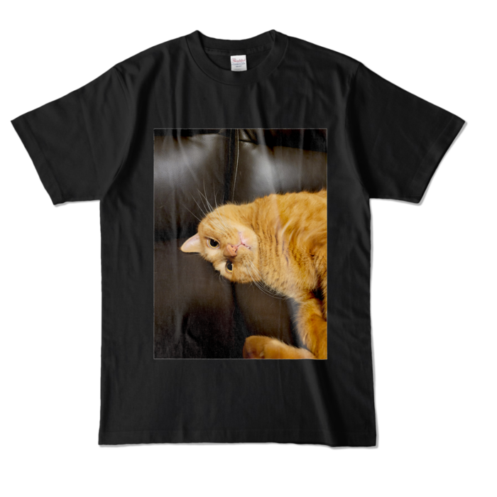 カラーTシャツ - L - ブラック (濃色)