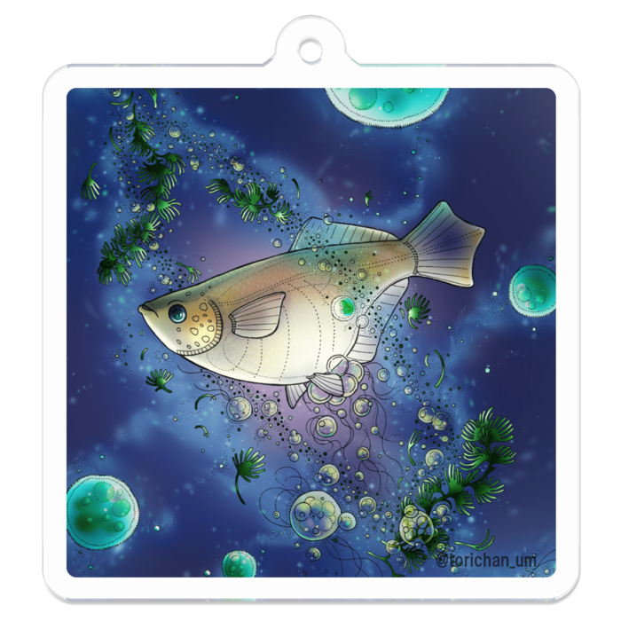 青　ー　 50 x 50㍉／コーティングなし