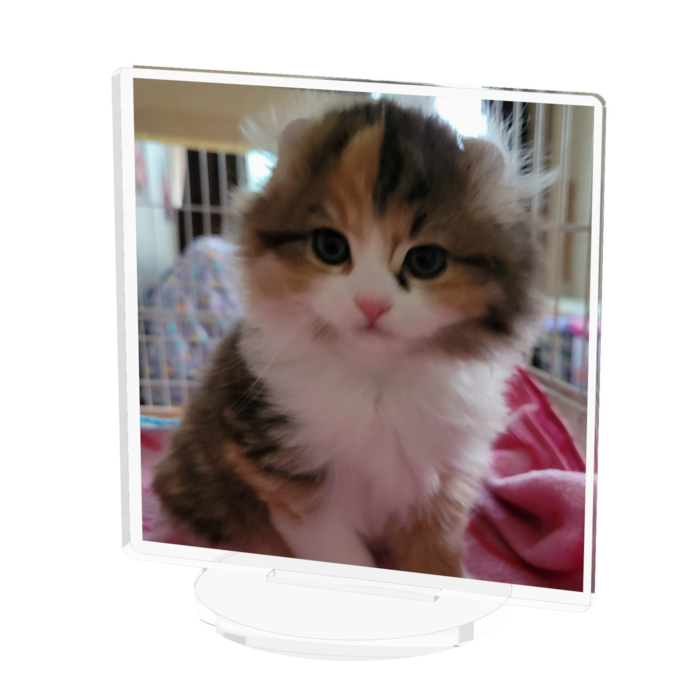 アクリルフィギュア - 70x70mm