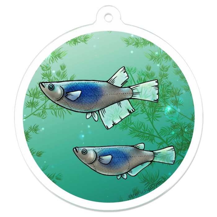 深海　ー　50 x 50㍉／コーティングなし