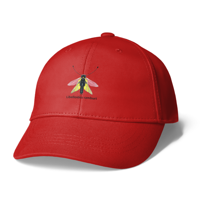 キャップ - レッド